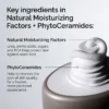 Facteurs Naturels d'Hydratation + PhytoCéramides